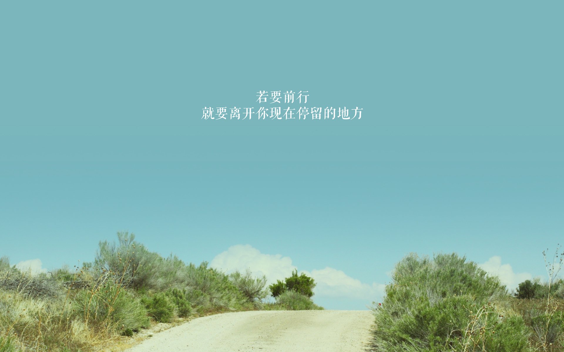 _飞盘运动嘉年华：趣味合作的极致体验_，飞盘运动比赛