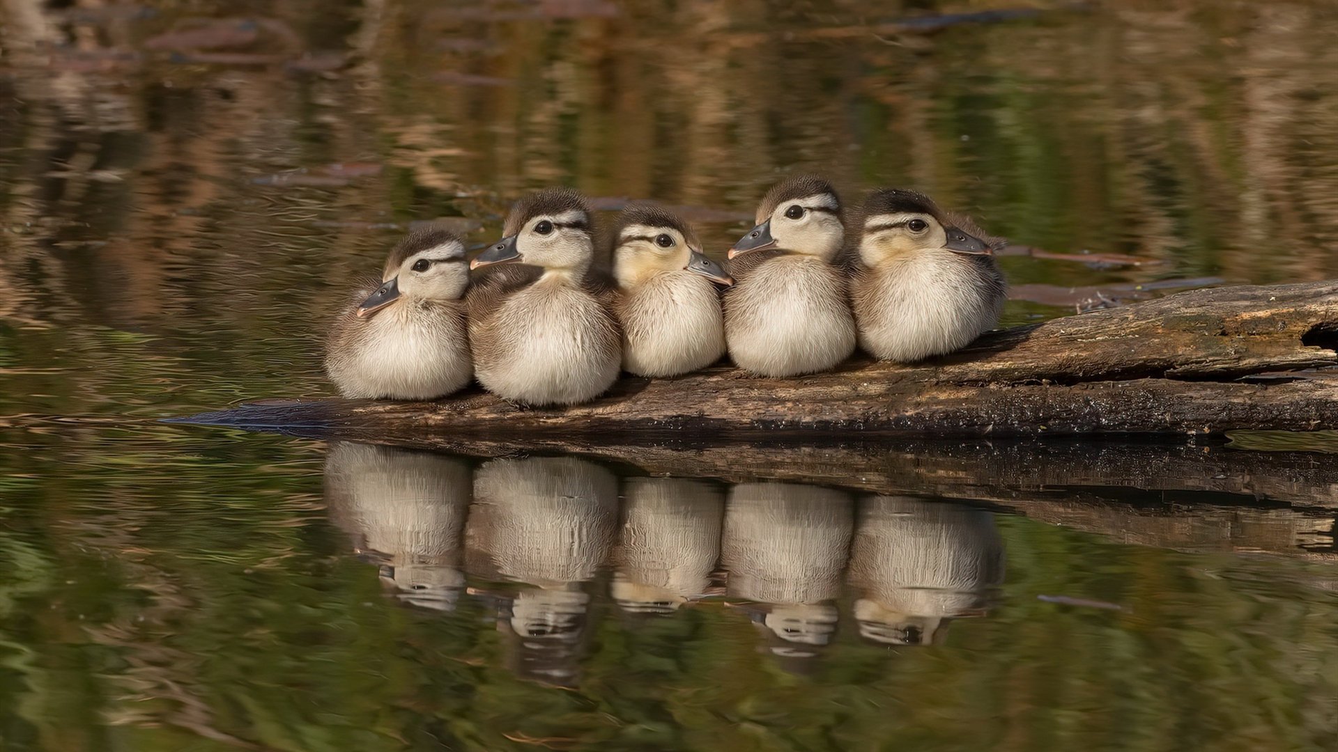 FB体育下载-支撑绿色生态发展的足球场馆建设逐步成为行业共识，足球场建设方案