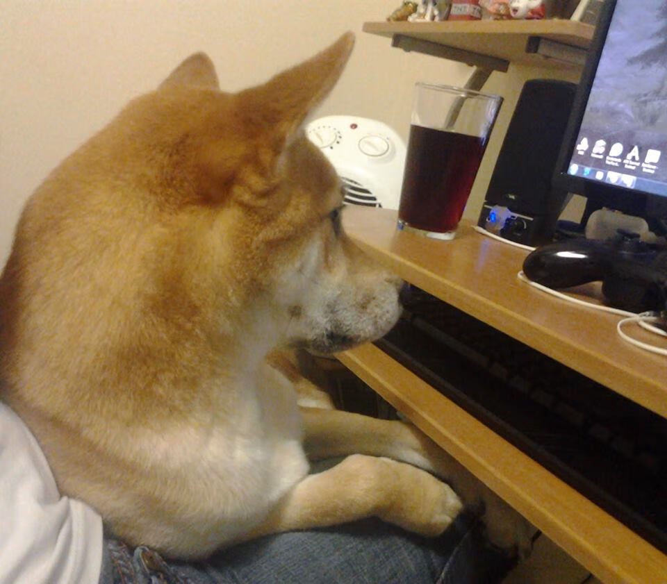 最激烈的逆转！北京队在最后两分钟完成大逆袭！，北京队战绩