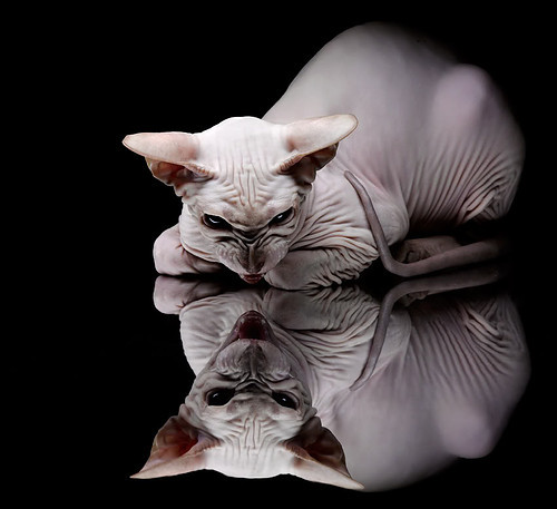 球场外的故事：运动员的家庭生活引发关注，运动员在球场训练形容词