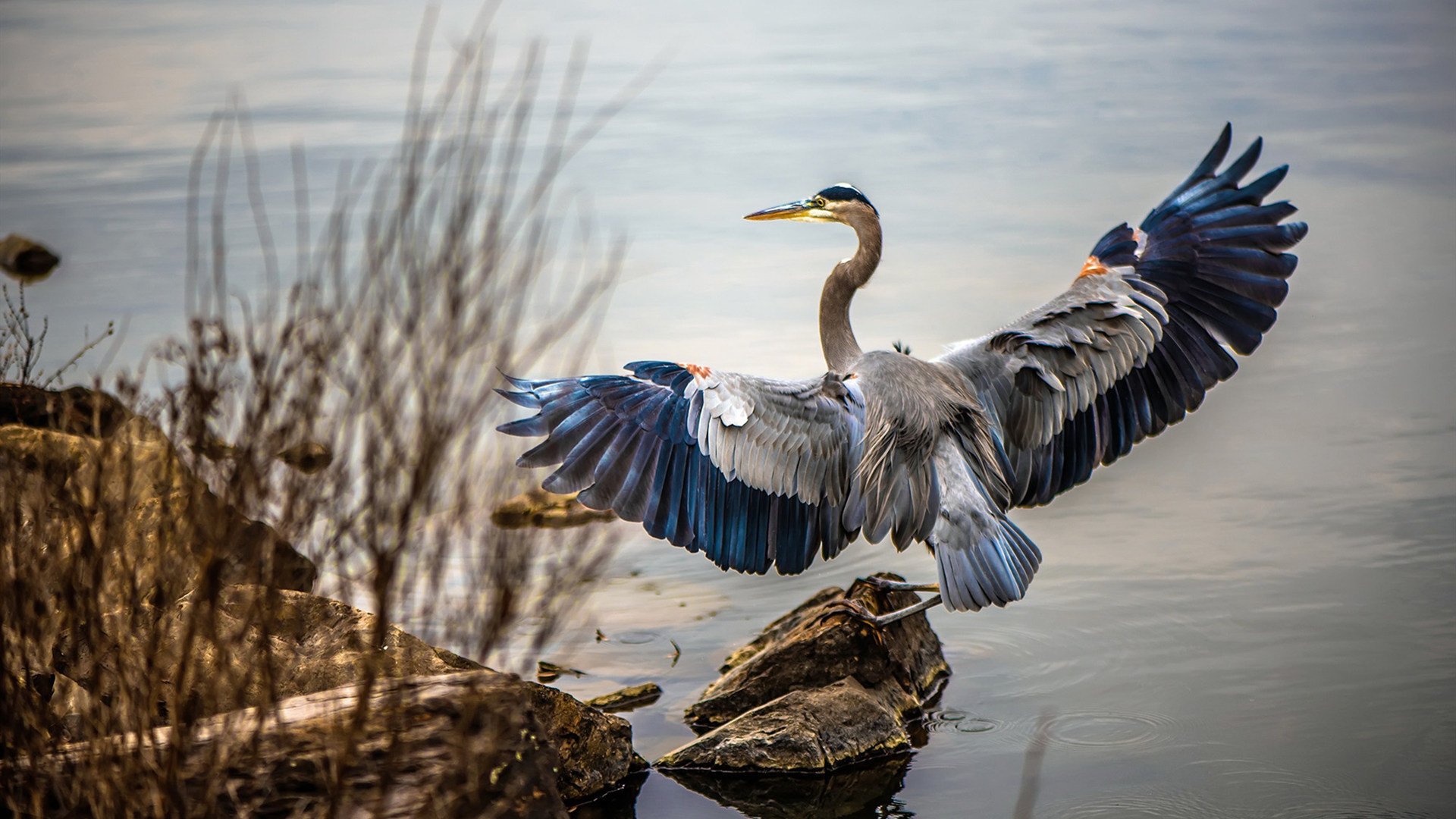赛场上的“绿茵英雄”:球员的职业精神写就辉煌,绿茵王者球员