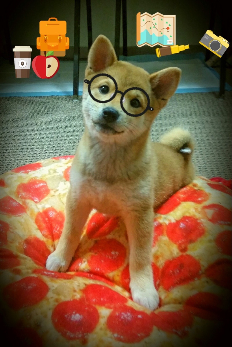 南安普顿防守稳固，圣玛丽球场冲刺积分，南安普顿足球俱乐部