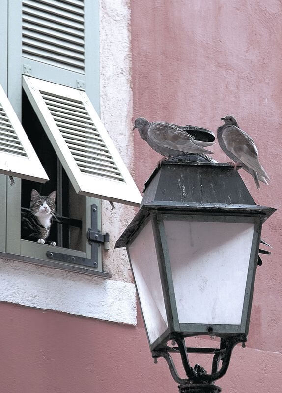 国足归化政策效果逐渐显现，国足归化名单最新消息