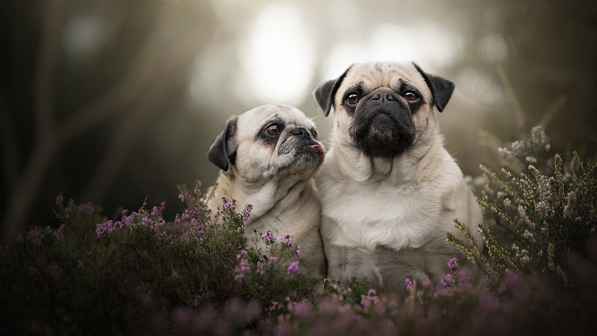 天津荣钢球队战术执行力提高,天津荣钢主场在哪里