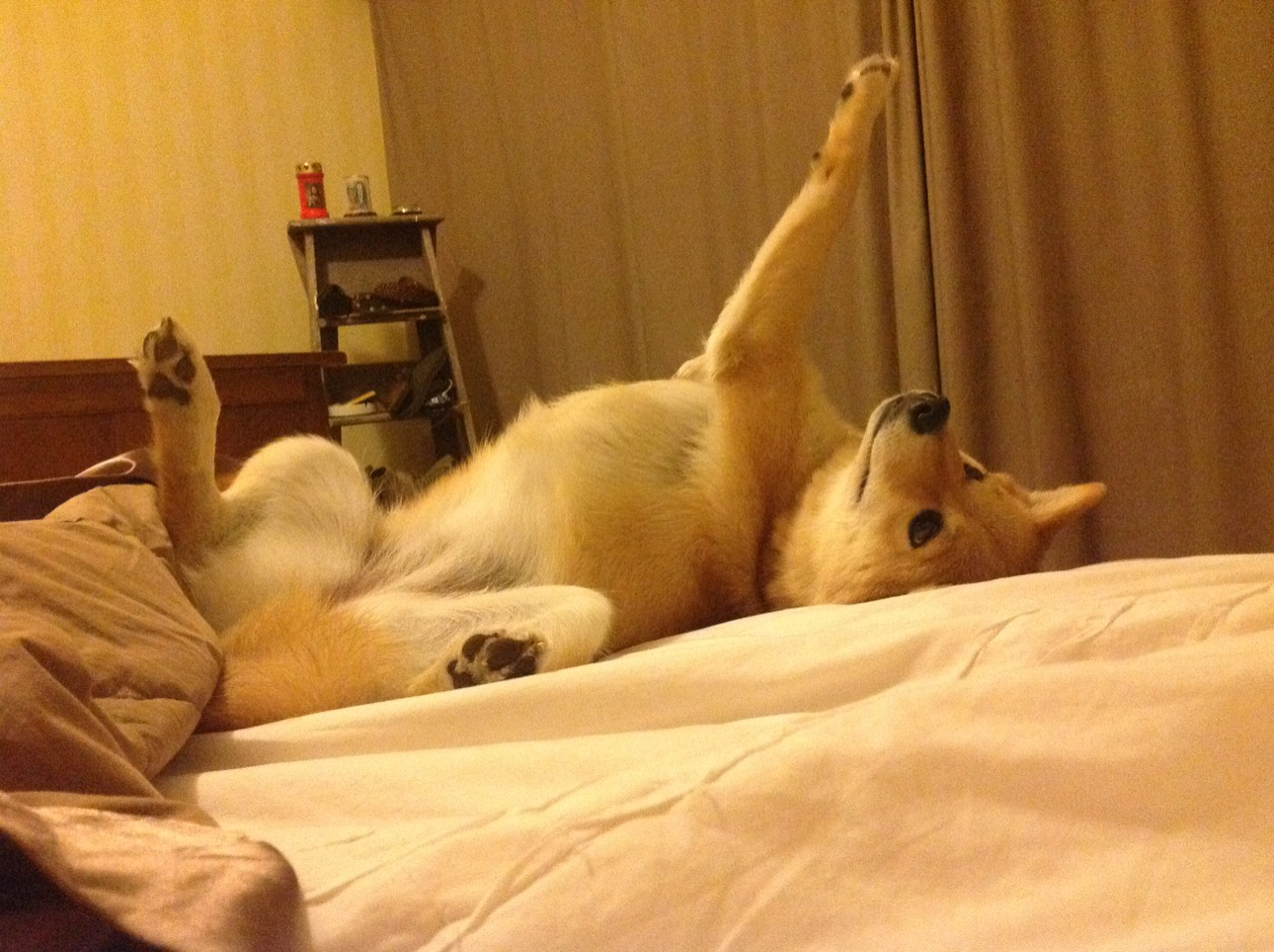 世界青少年攀岩锦标赛激烈拼搏彰显青春力量，青少年攀岩速度赛