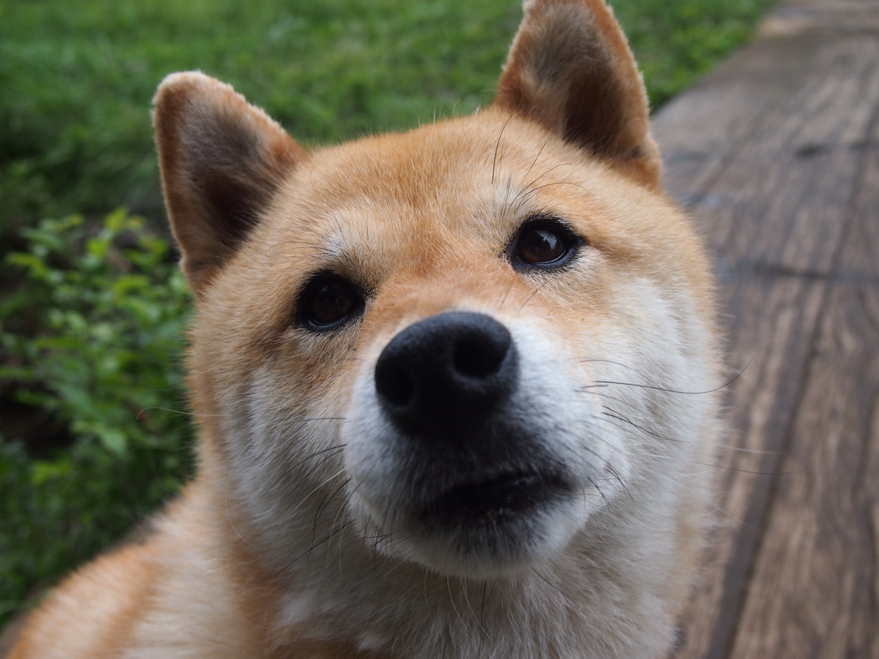 德甲球队利用脑电反馈优化比赛专注力训练，脑电反馈对专注力有用吗