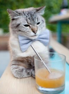 CBA球队引进外援助力争冠,cba外援政策变化历程