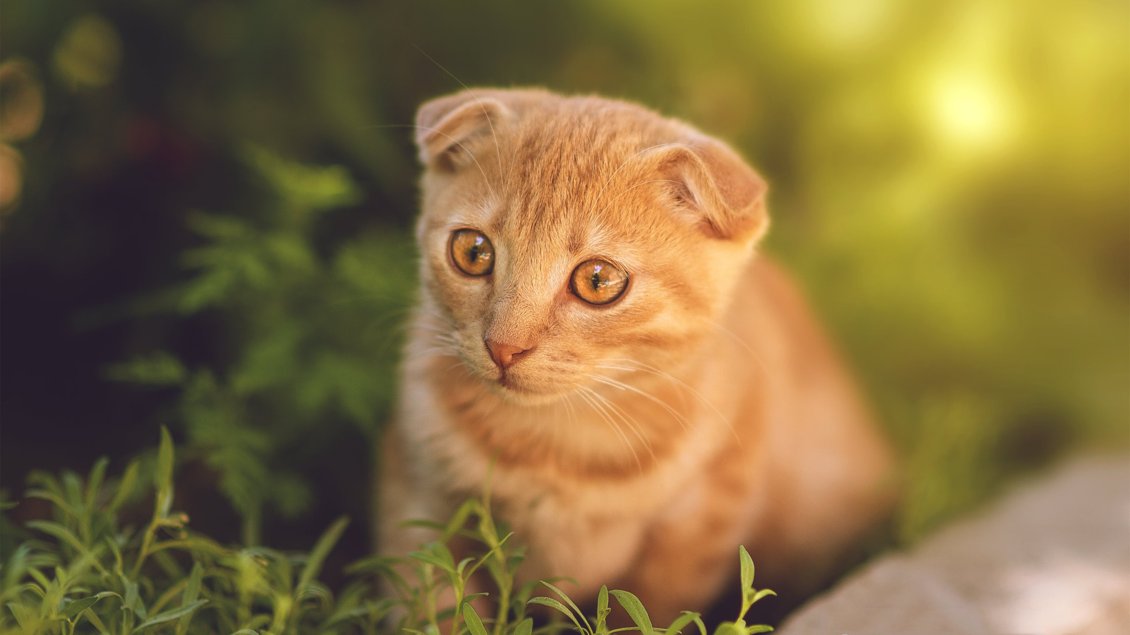 五大联赛出场球员跑动距离与战术体系关系，球员跑动距离数据