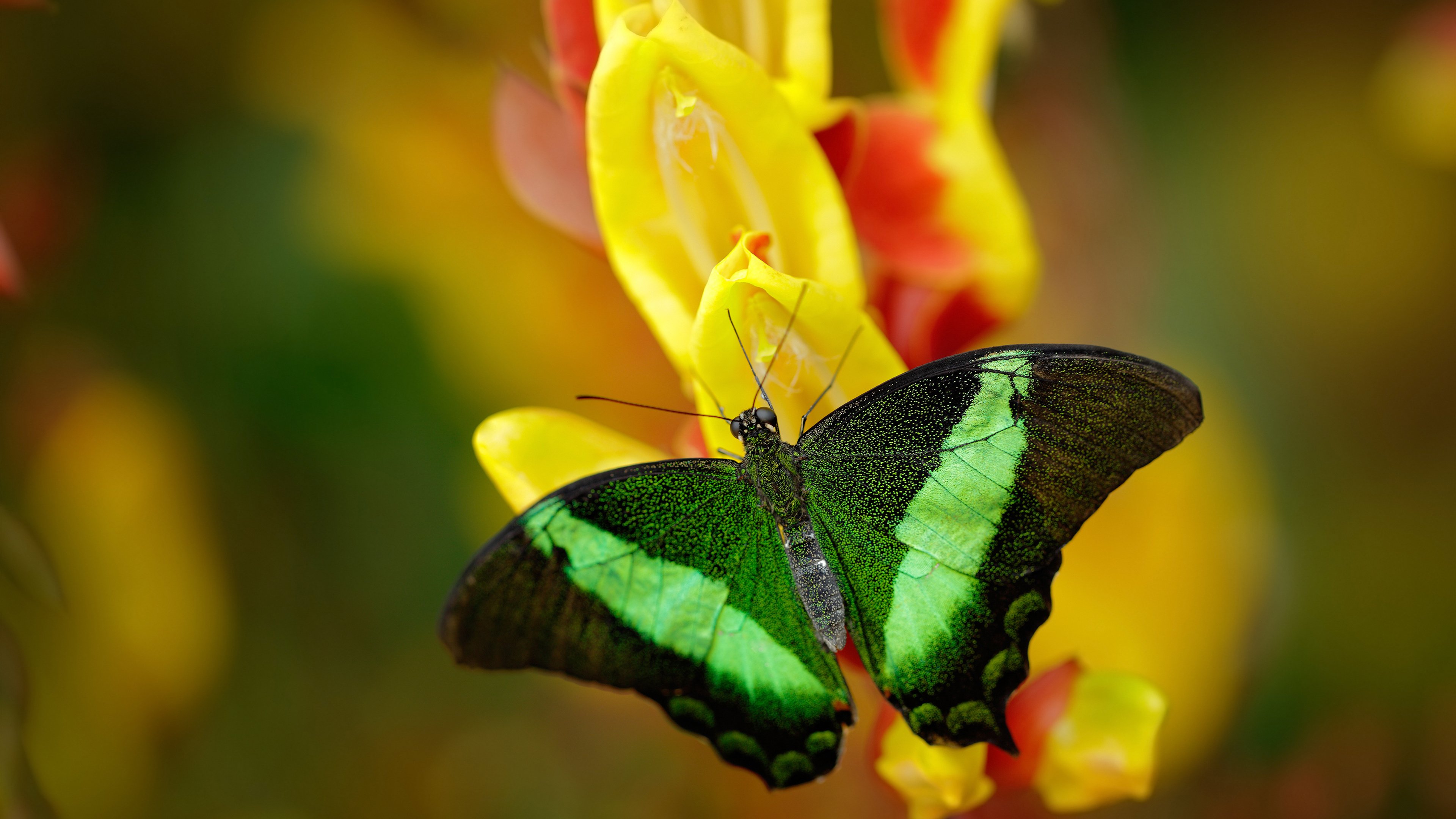 中超联赛精彩瞬间 中国足球逆转成亮点，中超足球比赛视频
